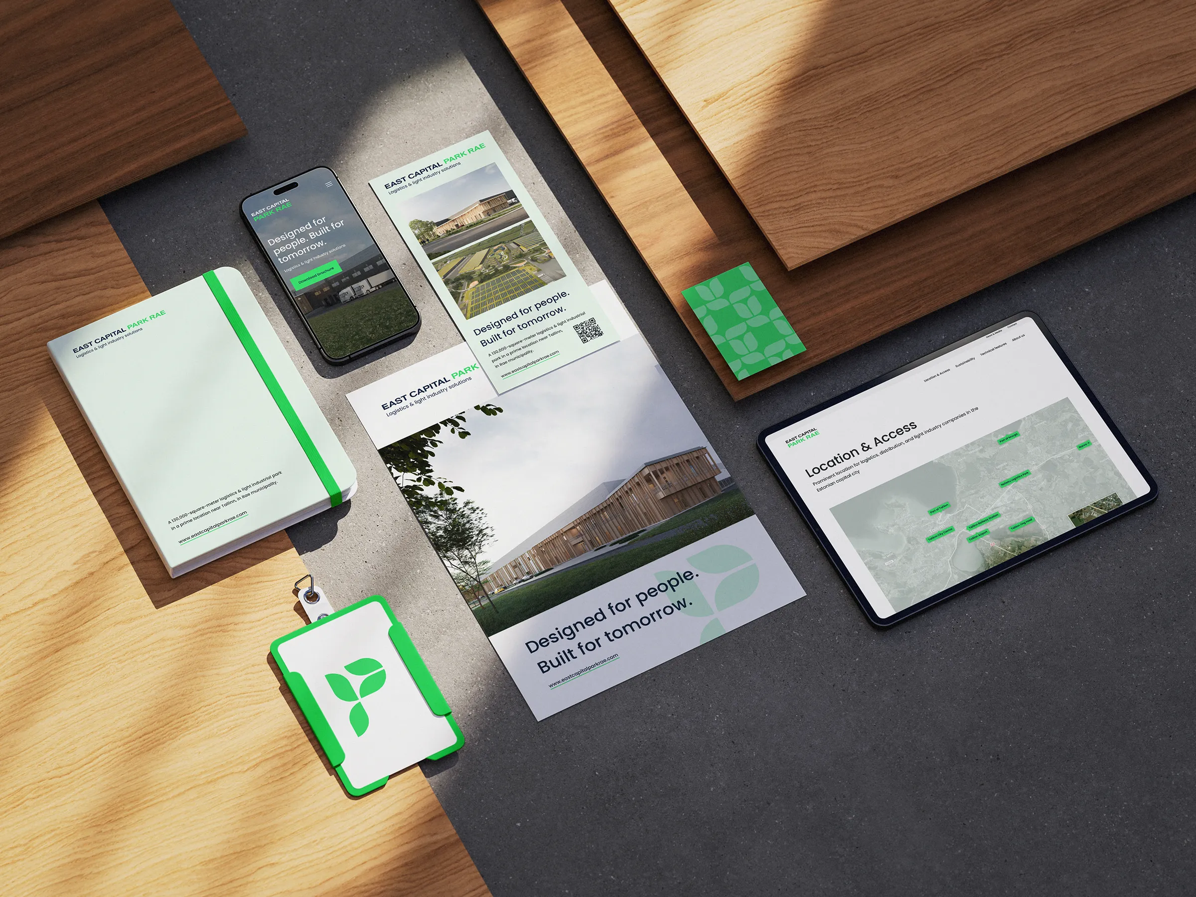 Logo, website and print materials - project preview